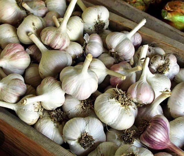 морква , цибуля часник