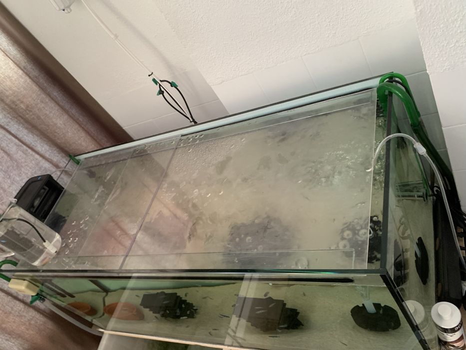Vendo aquario como novo sem riscos!