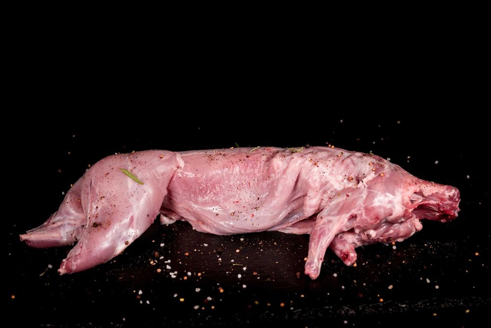 Sprzedam Tuszę Królika