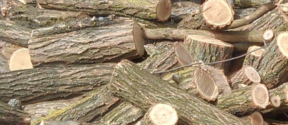 Продам дрова акации.