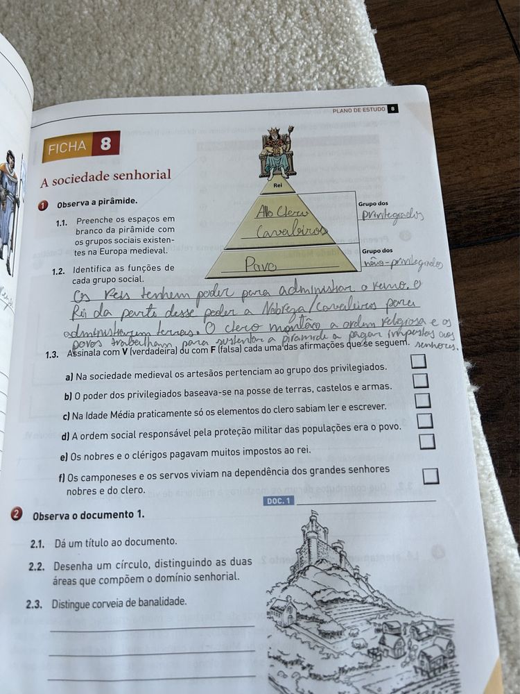Viagem na historia 7 / areal