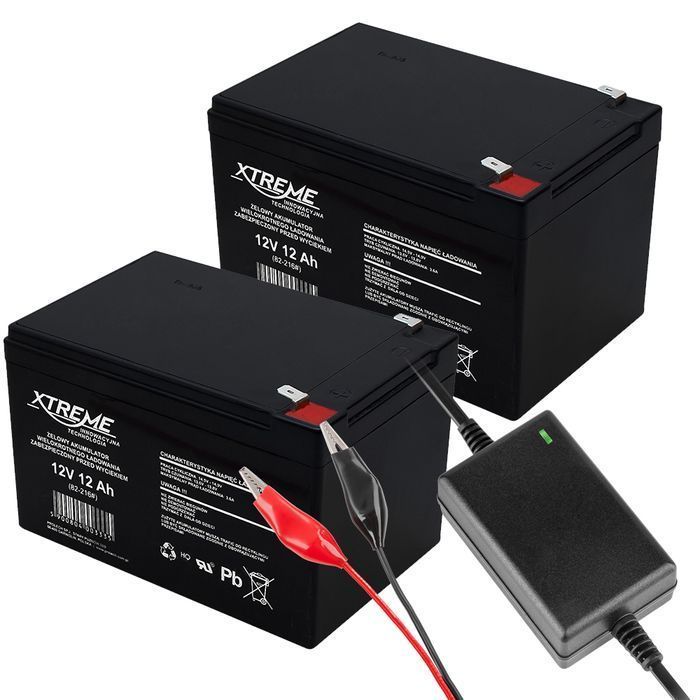 2x Akumulator żelowy 12V 12Ah alarm samochodzik autko + ładowarka