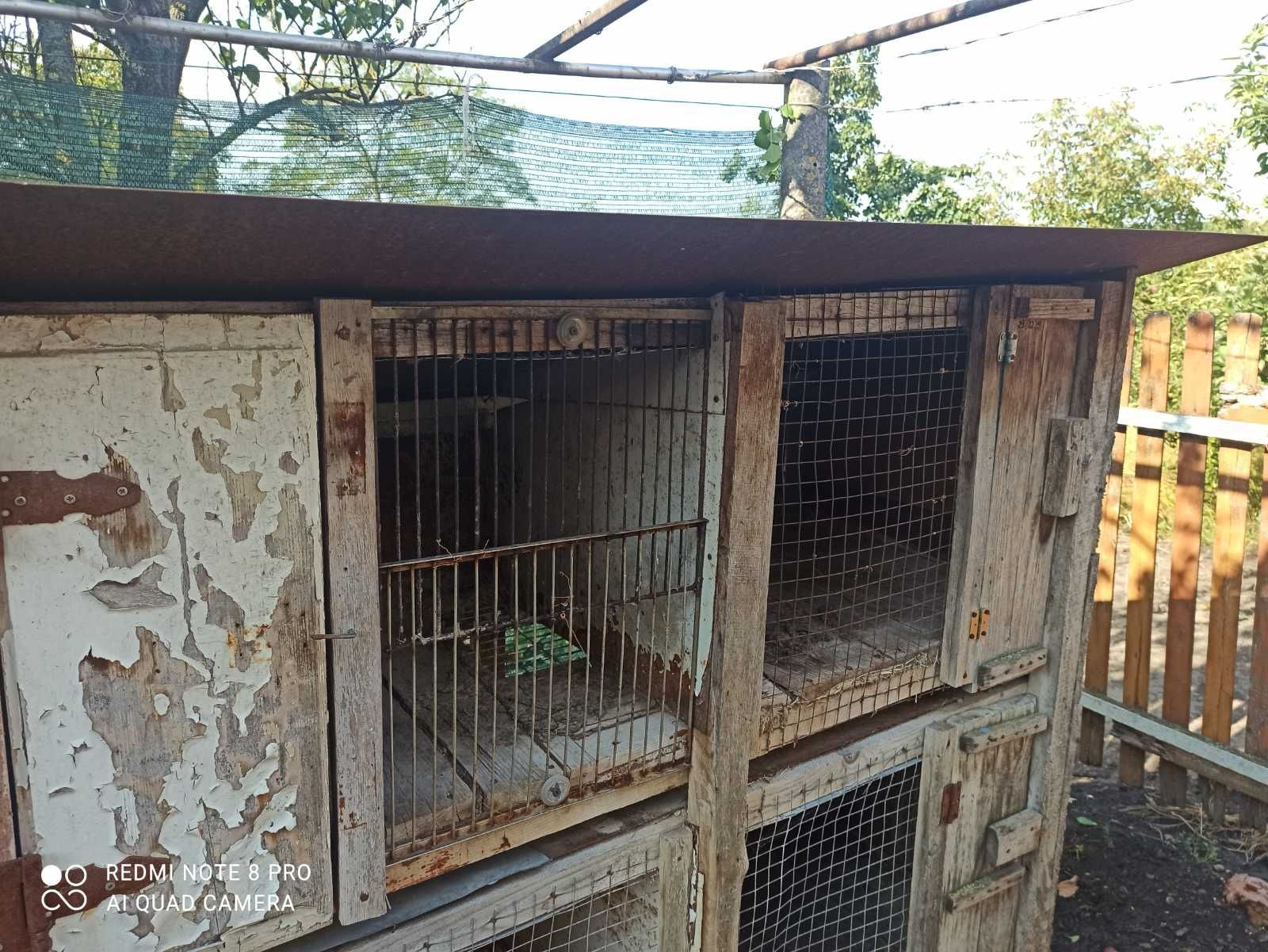 Продам кролятник