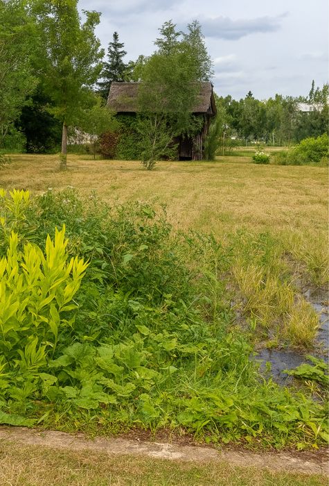 Dzialka ROD B. Andrzejewskiego