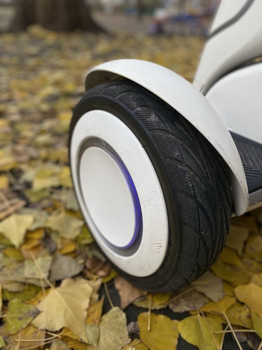 Ninebot Segway miniPLUS