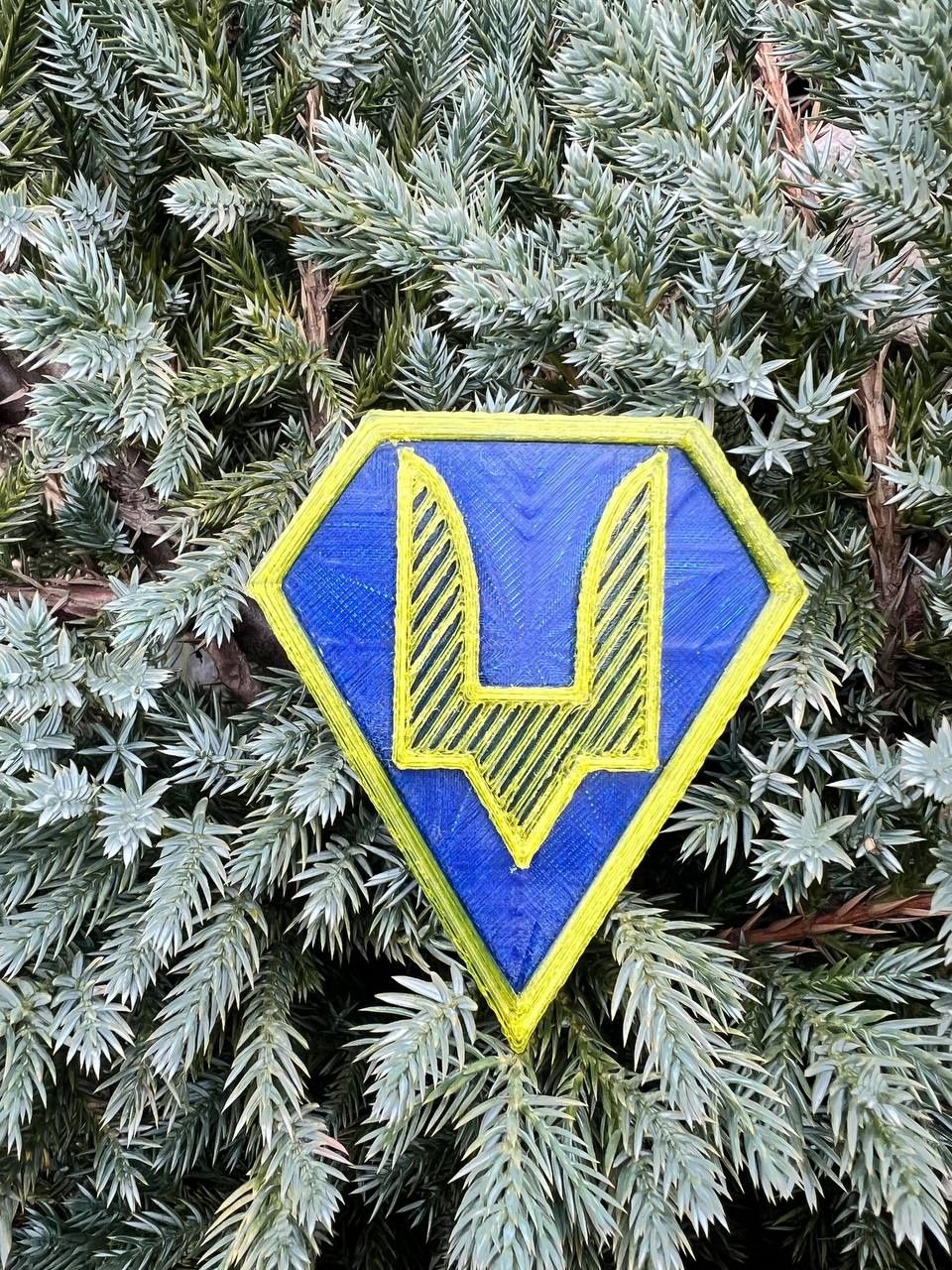 Магніт сувенірний Шеврон ССО