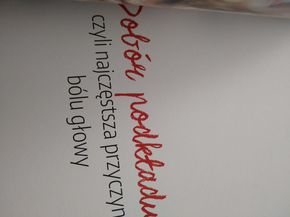 Książka Red Lipstick Monster tajniki makijażu