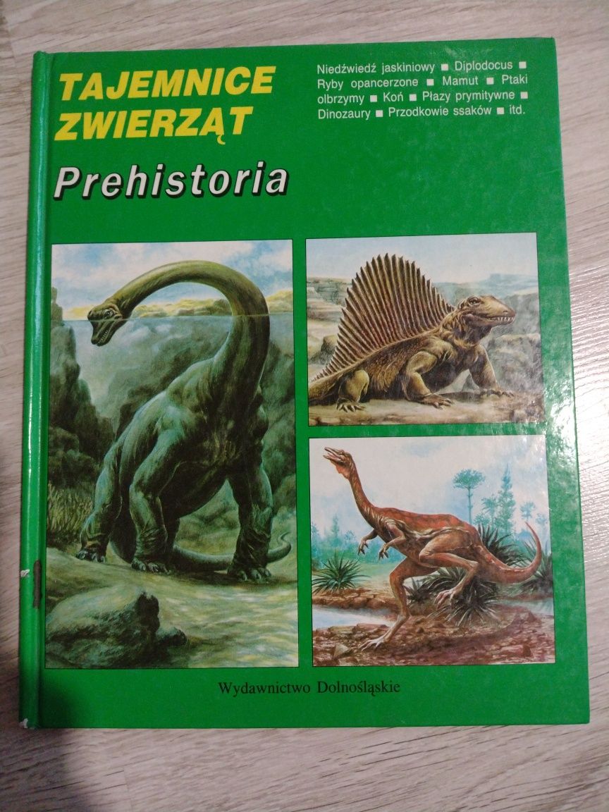 Książka dla dziecka o Dinozaurach