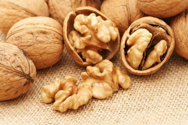 Продам скорлупу грецкого ореха, скорлупа ореховая.