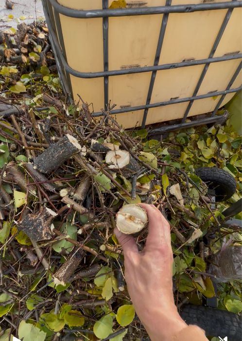 Услуга Измельчитель веток Дробилка для веток Утилизация веток