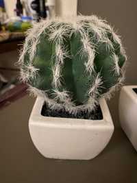 Realistyczny kaktus w doniczce