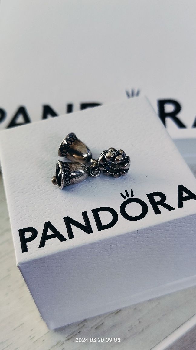 Pandora oryginalny charms