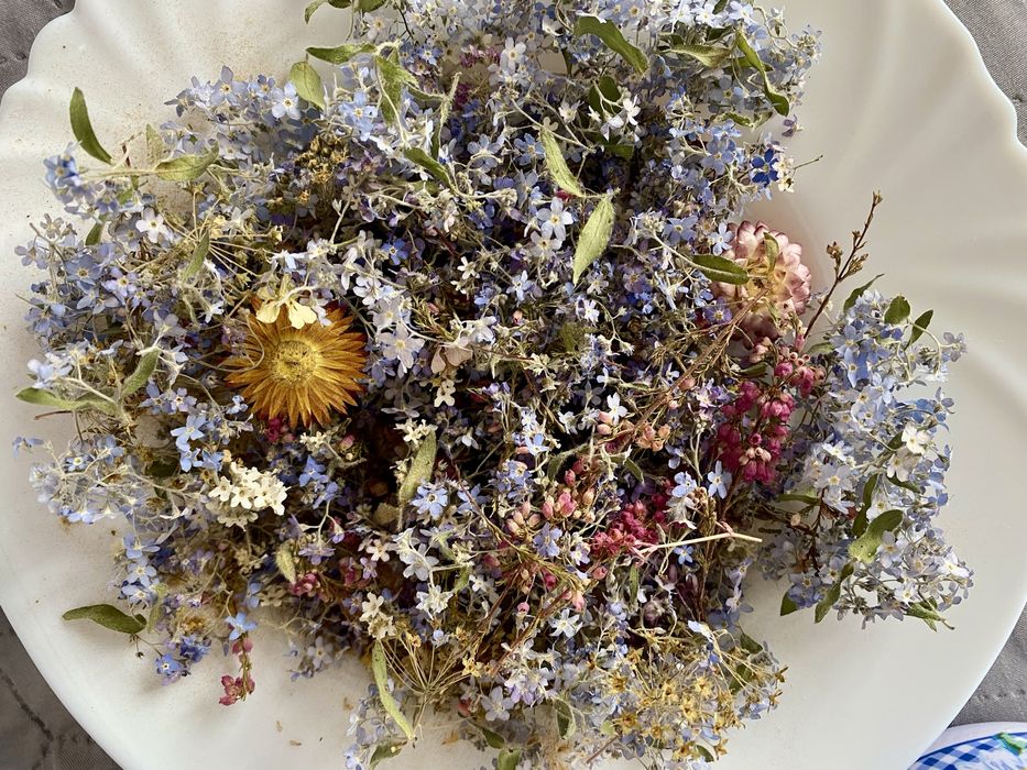Незабудки сухоцветы сухоквіти для епоксидної смоли