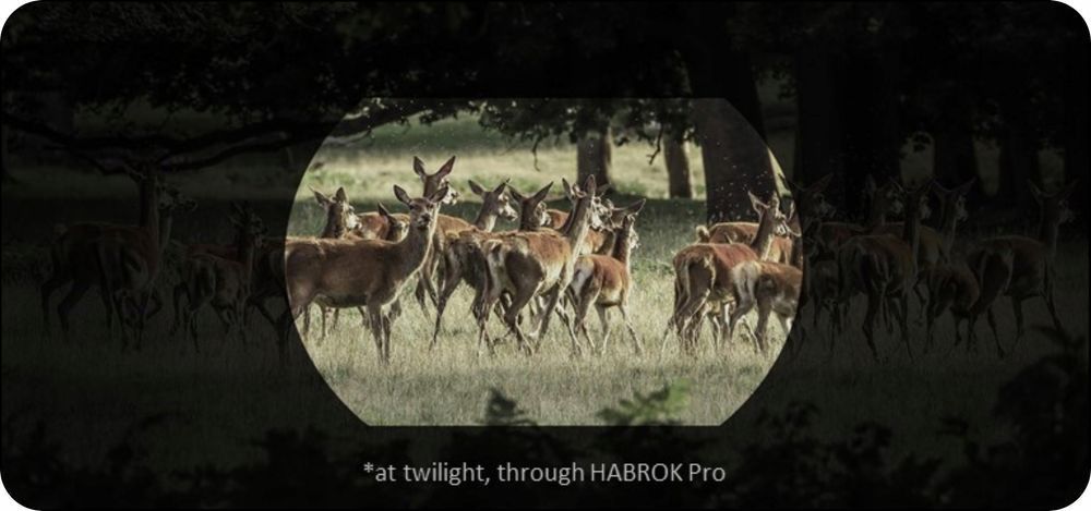 Lornetka Termowizyjna Termowizor 3w1 HIKMICRO HABROK PRO HX60L LRF 850