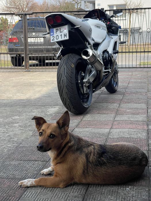 Yamaha R1 RN04 ( silnik od RN09 nowszy model )