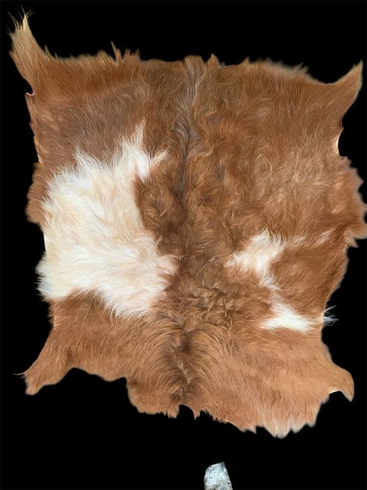 Гарне хутро можна шити можна в авто