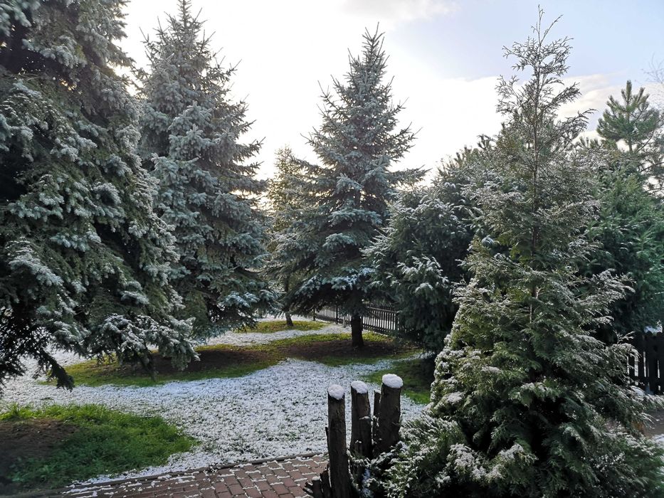 Jesienny weekend w Krakowie! Pobyty rodzinne i grupowe!