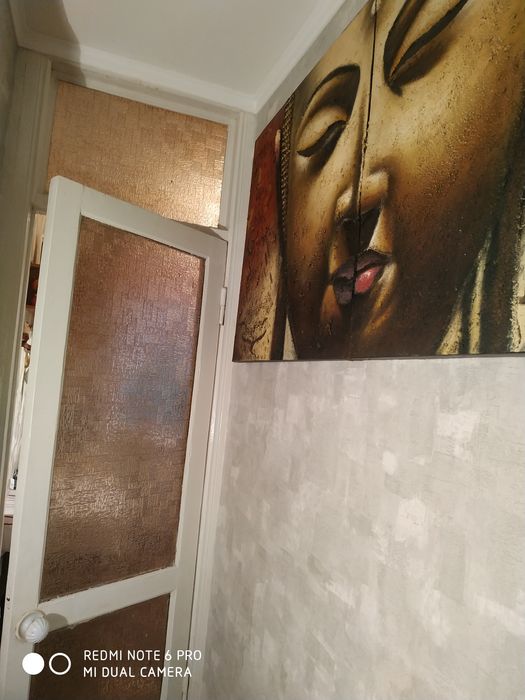 Срочно сдам квартиру в Приморском районе!Можно с собачкой!