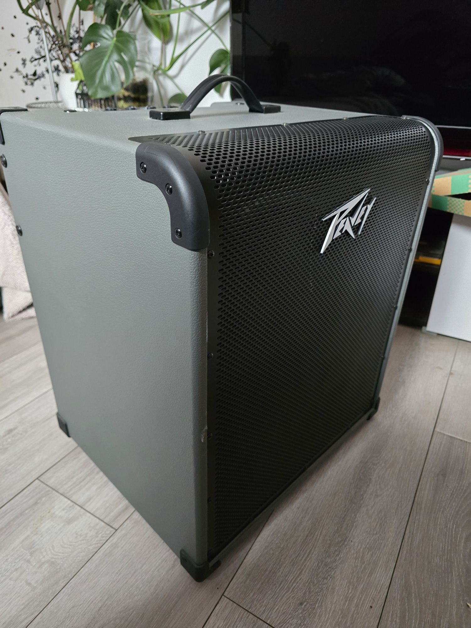 Peavey MAX 250 combo basowe