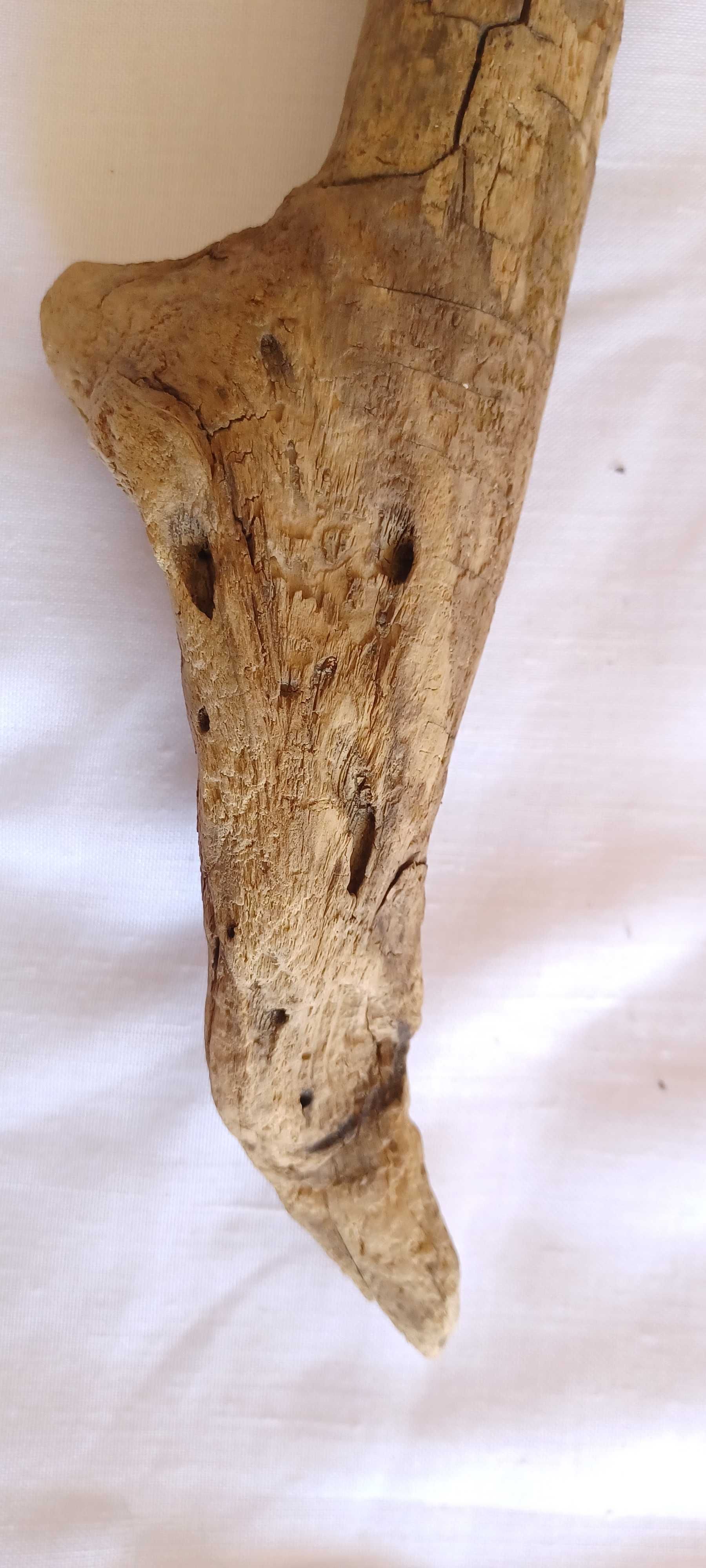 Tronco decorativo, madeira flutuante