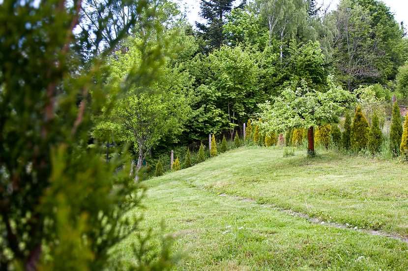 Apartament Góral, Parking,   Max dla 12 osób,