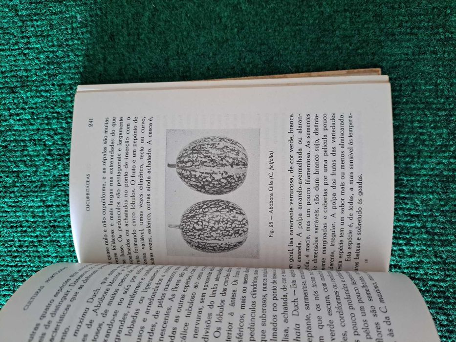 Culturas Hortícolas - Alberto Gardé e Nydia Gardé