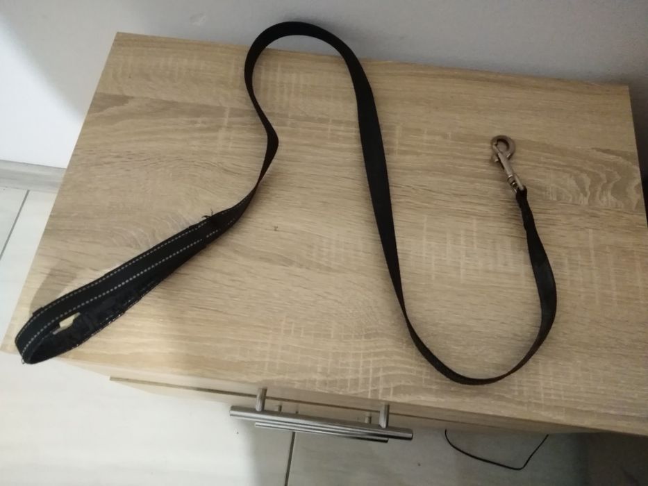 Smycz dla psa bardzo mocna