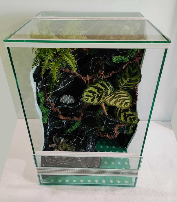 Terrarium z wbudowanym wodospadem  gekona orzęsionego AquaWaves TW68WB