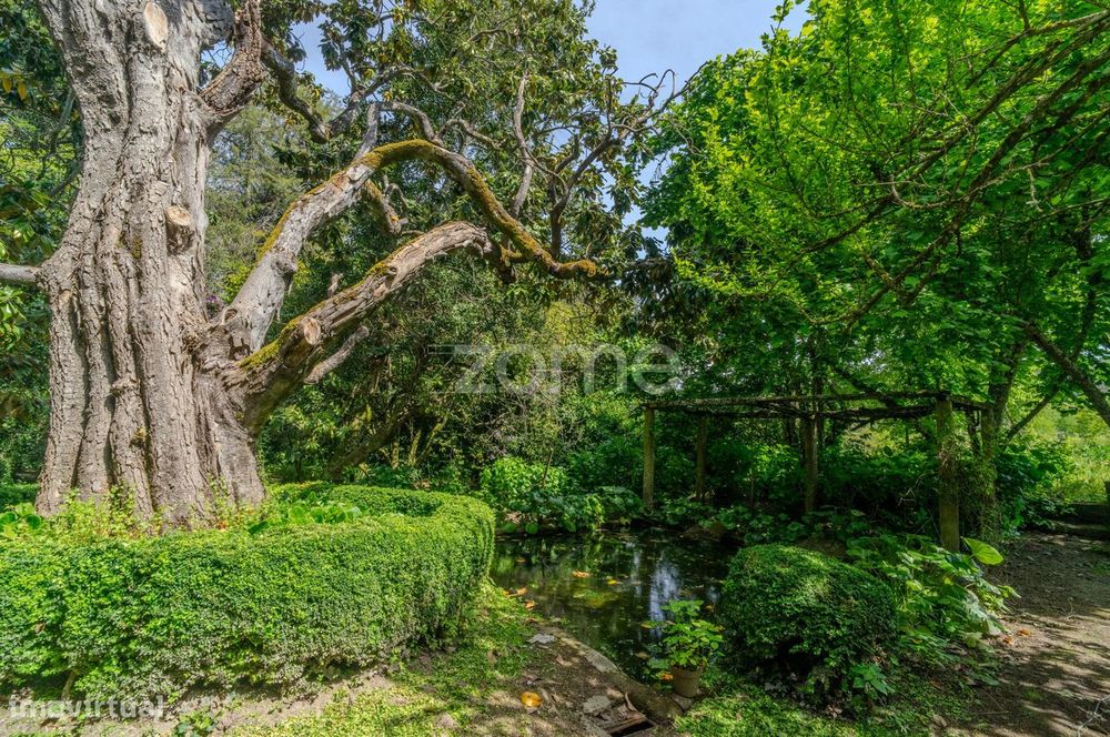 Solar T8 Património de Interesse Cultural