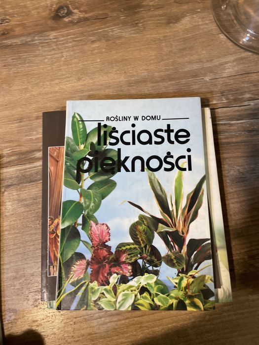 Liściaste piękności