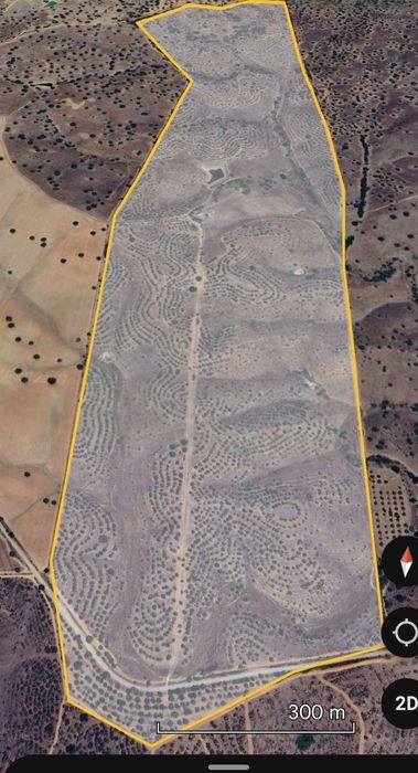 Propriedade 84 hectares com peq habitação