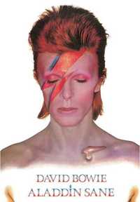 Plakat David Bowie - Aladdin Sane A1