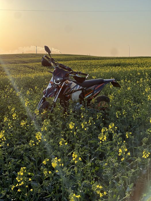 Kovi Lite KT 300 2024