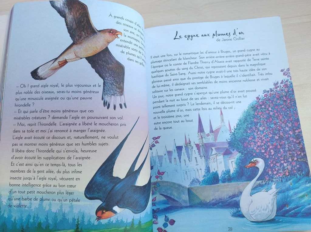 Belles histoires du soir a croquer książka francuska livre en français