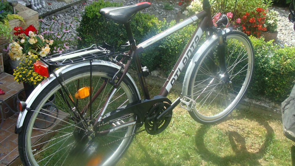 Rower trekingowy Atlanta Street XT