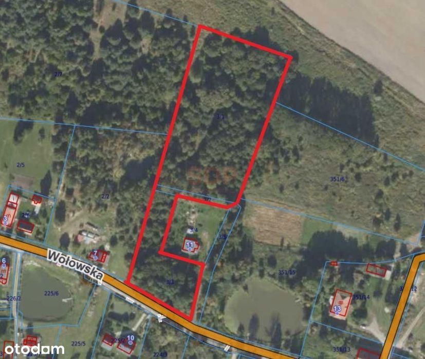 Dz. budowlana, 147 ar, uzbrojona (w drodze), las