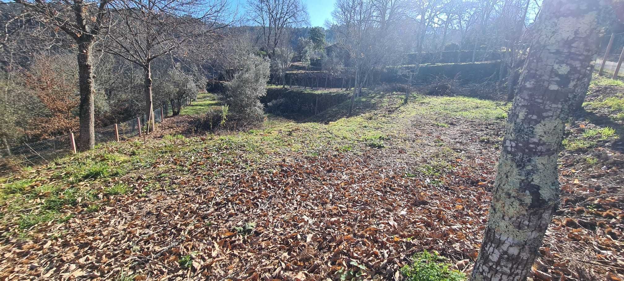 Quinta com 3.000 m2, com Ruínas em Pedra para Restaurar e Pomar