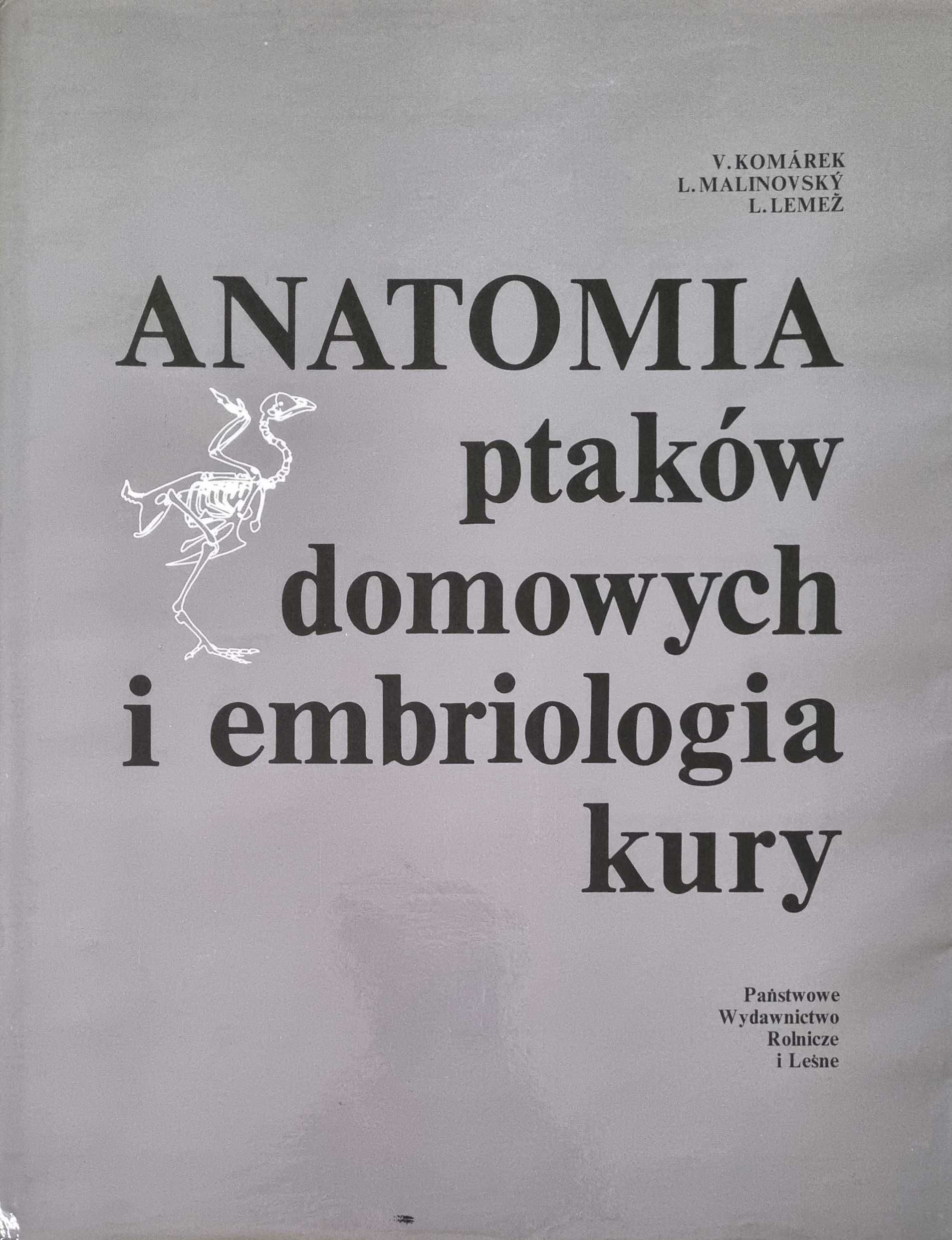 Anatomia ptaków domowych i embriologia kury - Komarek, Malinovsky