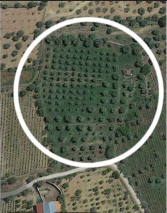 Venda Terreno Agrícola