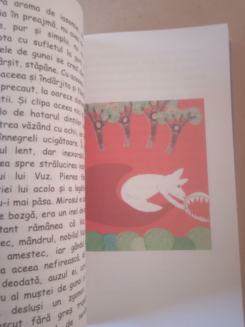 A menina e a raposa prateada