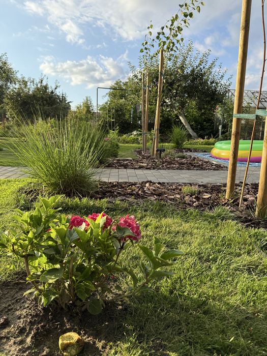 Działka ROD Dzierżona Nysa