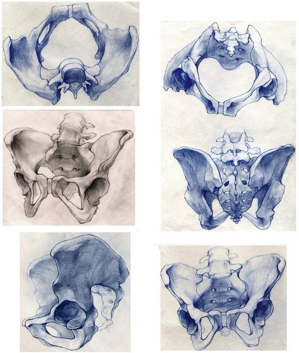 Репетитор по рисованию,Арт студия