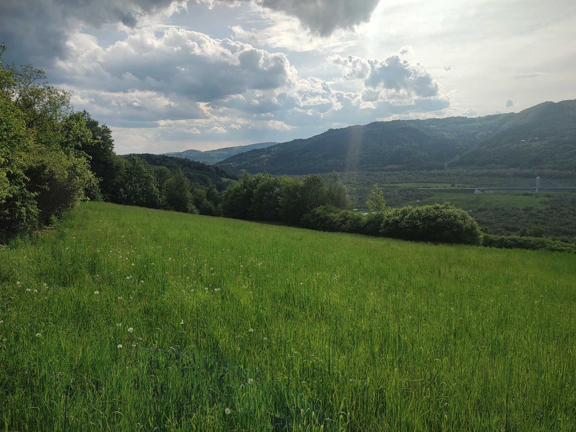 Działka widokowa - budowlana Kurów 72 ary