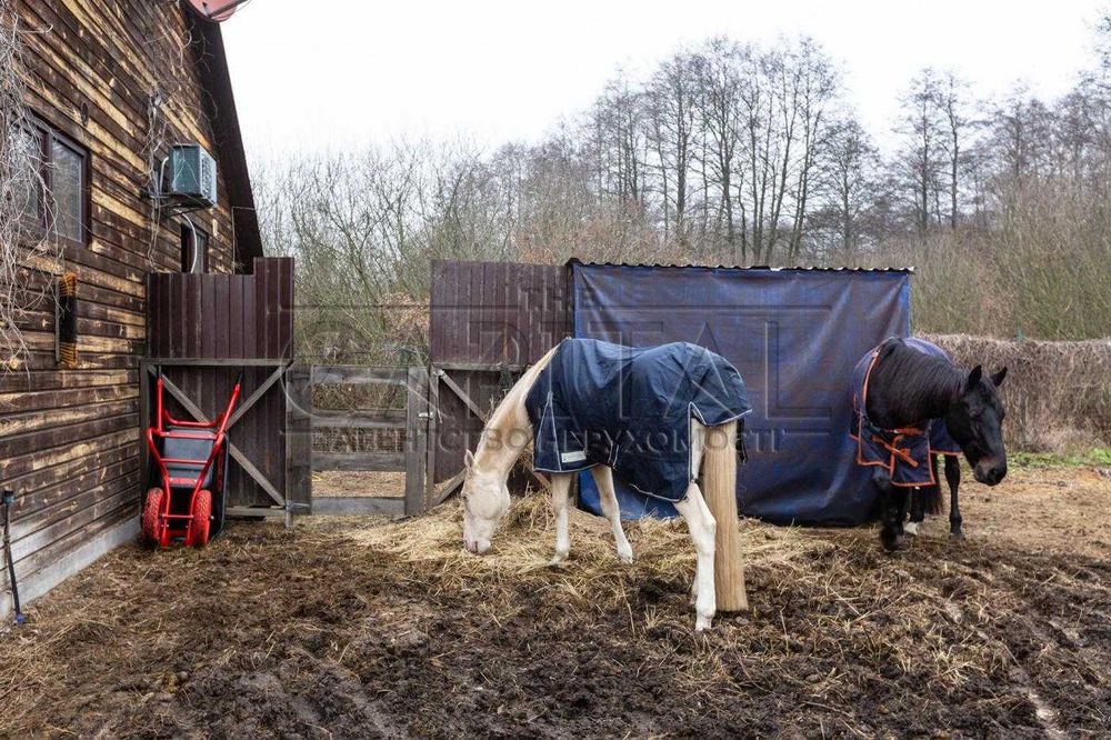 Продажа дома, с. Зазимье, Броварской р-н
