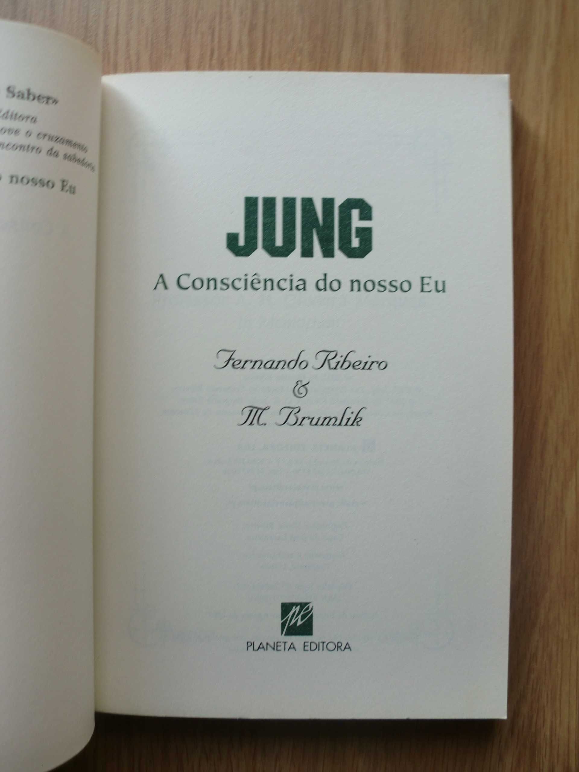 Jung - A Consciência do Nosso Eu