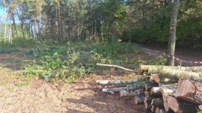 Sprzedam drewno opałowe brzoza sosna akacja czeremcha dąb