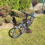 Rower Kross Linea