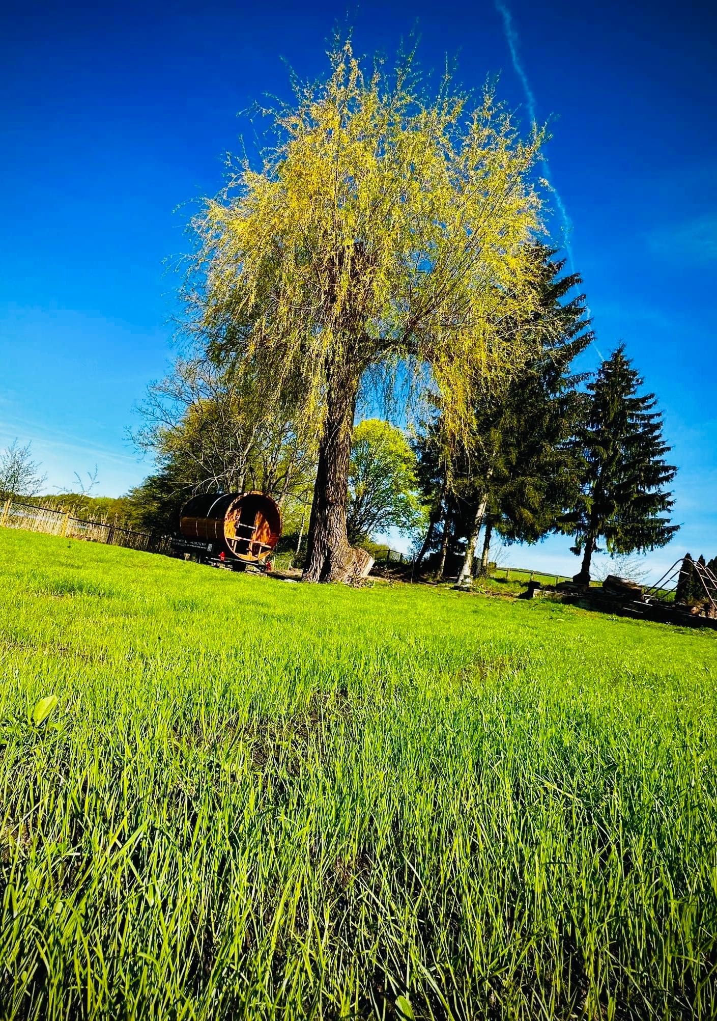 Domek nad jeziorem