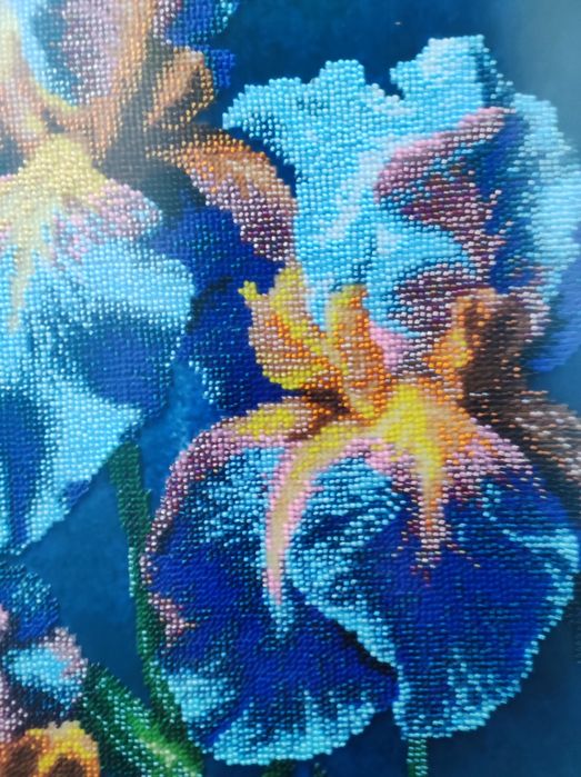 Картина квітів Іриски.