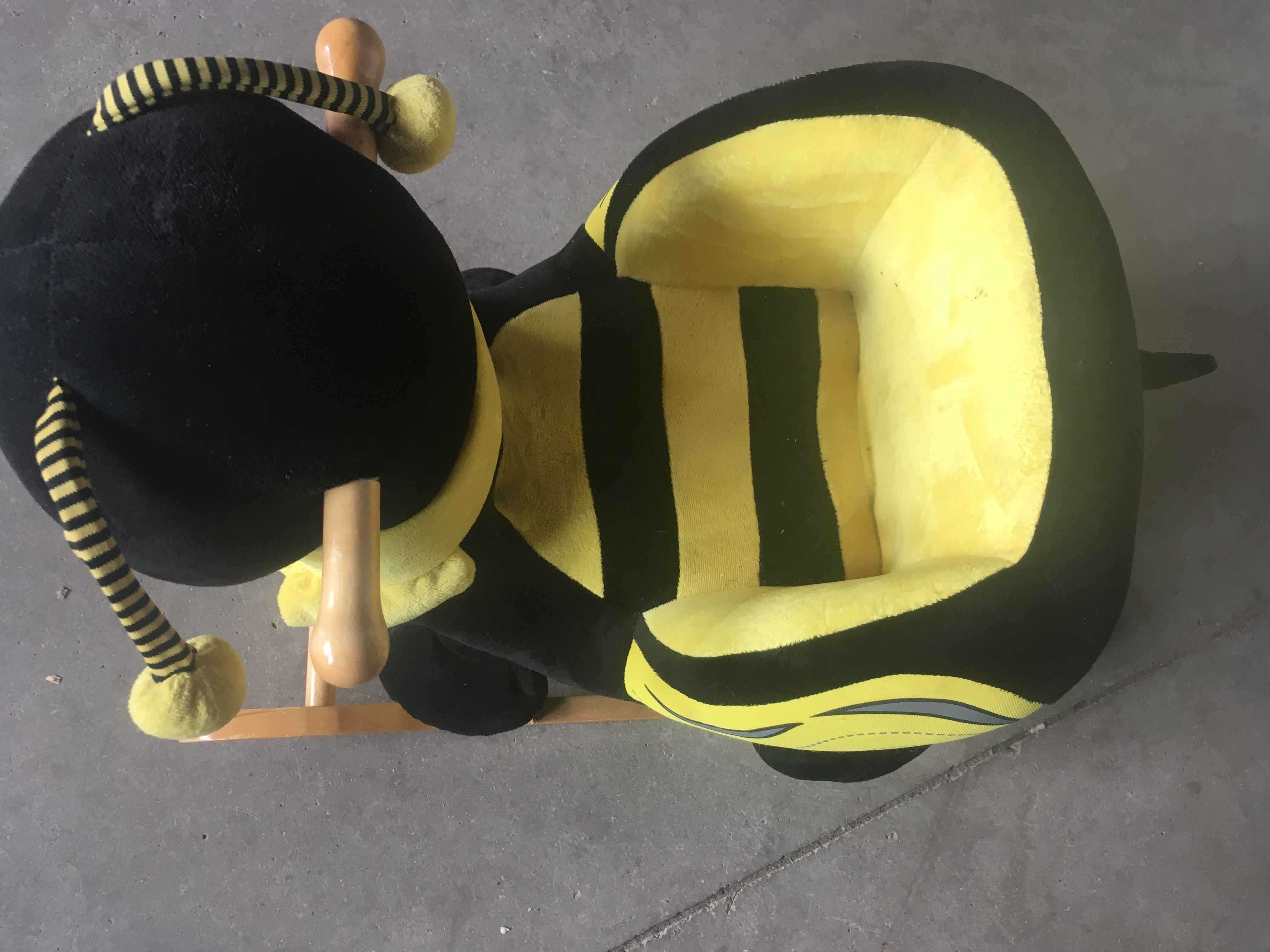 Bujak na biegunach pszczoła